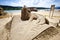 Lizard sand sculpture