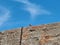 Lizard, a small squamate reptile over an unfinished masonry wall, with a blue sky background.