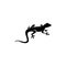 Lizard symbol icon vector