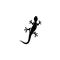 Lizard symbol icon vector