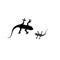 Lizard symbol icon vector