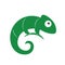 Lizard symbol vector logo template