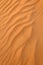 Lizard tracks on desert sand