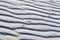 Lizard Tracks on White Sands