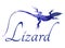 Lizard vector image