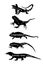 Lizards reptile set symbols. Frilled lizard symbol. Pet iguana silhouette.