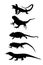 Lizards reptile set symbols. Frilled lizard symbol. Pet iguana silhouette. Chameleon shape shadow. Komodo dragon vector silhouette