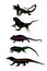 Lizards reptile set symbols. Frilled lizard symbol. Pet iguana silhouette. Chameleon shape shadow. Komodo dragon vector silhouette