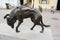 LJUBLJANA, SLOVENIA - AUGUST 15, 2017: Modern statue of dog by Jacov Brdar on Butcher Bridge