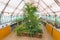Ljubljana, Slovenia - August 16, 2018: The greenhouse building interior and some of its plants at the Tivoli City Park