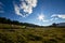 Llama, alpaca Andean landscape, ecuadorian blue sky