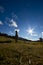 Llama, alpaca Andean landscape, ecuadorian blue sky