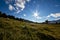 llama, alpaca Andean landscape, ecuadorian blue sky