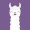 Llama alpaca animal face neck. Funny teeth. Fluffy hair fur. Cute cartoon kawaii character. Childish baby collection. T-shirt, gre