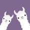 Llama alpaca animal set. Face neck. Fluffy hair fur. Cute cartoon funny kawaii character. Childish baby collection. T-shirt, greet