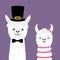 Llama alpaca animal set. Love couple. Happy Valentines Day. Girl Boy. Black hat. Face neck. Fluffy hair fur. Cute cartoon funny