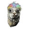 Llama or Alpaca head funny with protruding teeth fashionable with round glasses and rainbow colored hair