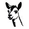 Llama black icon on white background. Llama silhouette