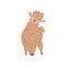 Llama cartoon alpaca, Lama animal vector isolated illustration, cute funny curly fur animal, cheerful lama beige wool