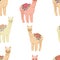 Llama cartoon alpaca mexico Peru desert vector. Color illustration hand drawn