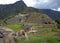 A Llama Eating Grass at the Inca Ruins at Machu Picchu