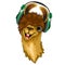 Llama Happy Music Dude with Headphones Vector illustration