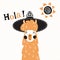 Llama in hat