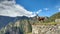 Llama in Machu picchu