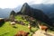 Llama at Machu Picchu, Peru