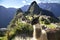 Llama at the Machu Picchu ruin