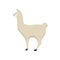 Llama nature mammal wildlife happy pet vector. Cute portrait brown zoo alpaca cartoon