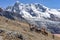 Llama pack in Cordillera Vilcanota, Ausangate, Cusco, Peru