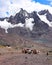 Llama pack in Cordillera Vilcanota, Ausangate, Cusco, Peru