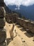 A llama peeks around a corner on the ruins on Macchu Picchu in Peru