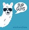 Llama poster with inscription `sup guys`