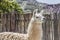 Llama in Purmamarca, Jujuy, Argentina.