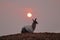 llama seen against the sunset in a smoky sky from fires in northern argentina