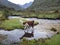 Llama at the small stream in the mountains