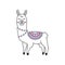 Llama vector hand drawn illustration