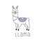 Llama vector hand drawn illustration