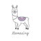 Llama vector hand drawn illustration