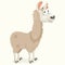 Llama Vector Illustration