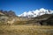 Llamas Alpaca in Andes Mountains, Amazing view in spectacular mountains, Cordillera, Peru