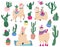 Llamas and cactus. Mexican cute alpaca with desert plants, funny peruvian llama characters with succulents and cactus