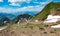 Llamas grazing in the french mountains