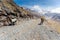 Llamas herd carrying heavy load, Bolivia mountains.