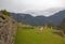 Llamas at Machu Picchu in Peru South America