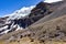 Llamas on a mountain slope close to the Ausangate Glacier. Cordillera Vilcanota, Cusco, Peru