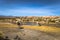 Llamas in the wild landscape near the Black Lagoon in Eduardo Avaroa National Park, Bolivia