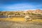 Llamas in the wild landscape near the Black Lagoon in Eduardo Avaroa National Park, Bolivia